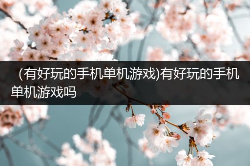 （有好玩的手机单机游戏)有好玩的手机单机游戏吗