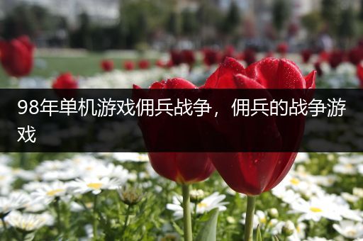 98年单机游戏佣兵战争，佣兵的战争游戏