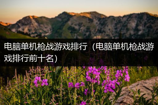 电脑单机枪战游戏排行（电脑单机枪战游戏排行前十名）