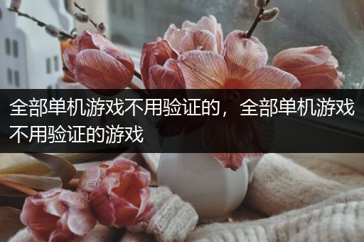 全部单机游戏不用验证的，全部单机游戏不用验证的游戏
