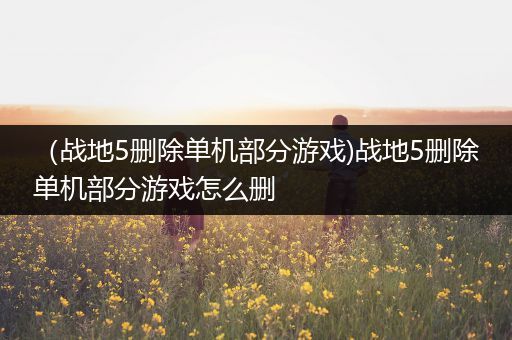 （战地5删除单机部分游戏)战地5删除单机部分游戏怎么删