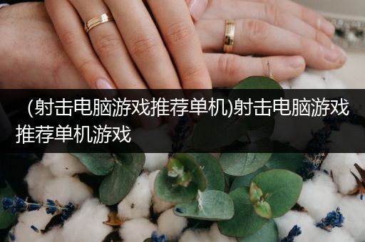（射击电脑游戏推荐单机)射击电脑游戏推荐单机游戏