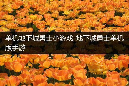 单机地下城勇士小游戏_地下城勇士单机版手游