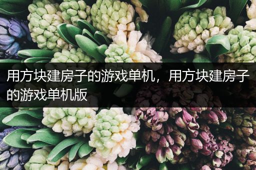 用方块建房子的游戏单机，用方块建房子的游戏单机版