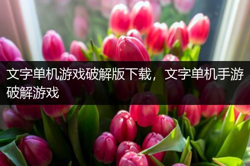 文字单机游戏破解版下载，文字单机手游破解游戏