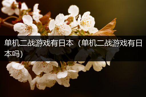 单机二战游戏有日本（单机二战游戏有日本吗）