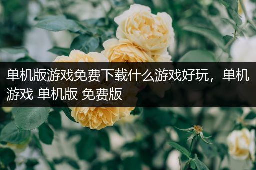 单机版游戏免费下载什么游戏好玩，单机游戏 单机版 免费版