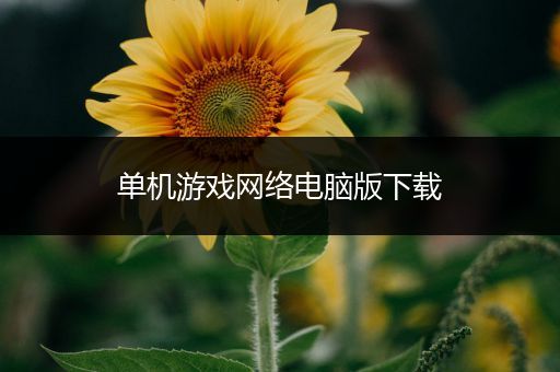 单机游戏网络电脑版下载