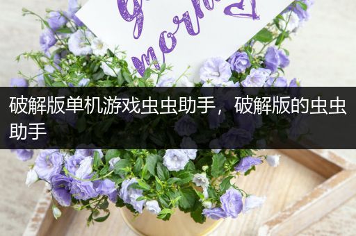 破解版单机游戏虫虫助手，破解版的虫虫助手