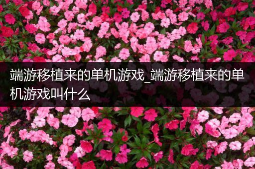 端游移植来的单机游戏_端游移植来的单机游戏叫什么