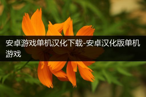 安卓游戏单机汉化下载-安卓汉化版单机游戏