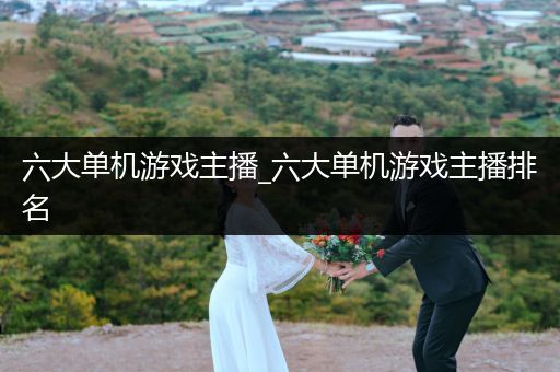 六大单机游戏主播_六大单机游戏主播排名
