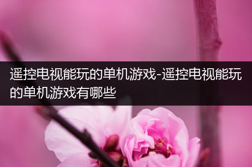 遥控电视能玩的单机游戏-遥控电视能玩的单机游戏有哪些