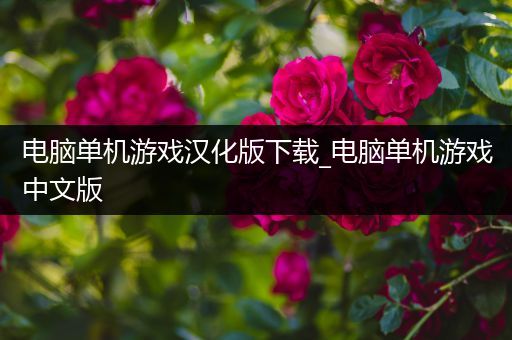 电脑单机游戏汉化版下载_电脑单机游戏中文版