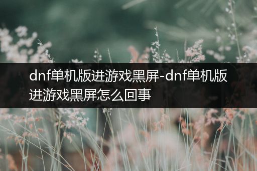 dnf单机版进游戏黑屏-dnf单机版进游戏黑屏怎么回事
