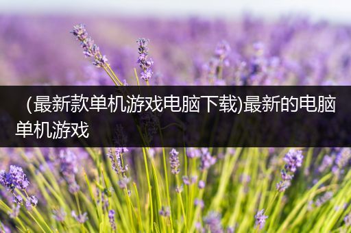 （最新款单机游戏电脑下载)最新的电脑单机游戏