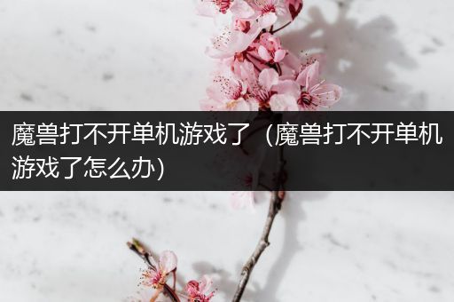 魔兽打不开单机游戏了（魔兽打不开单机游戏了怎么办）