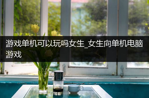 游戏单机可以玩吗女生_女生向单机电脑游戏