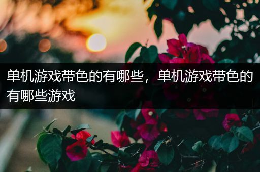 单机游戏带色的有哪些，单机游戏带色的有哪些游戏