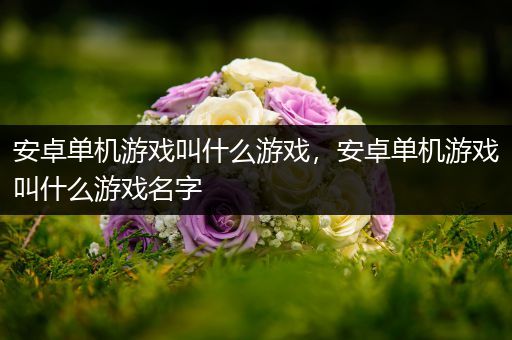 安卓单机游戏叫什么游戏，安卓单机游戏叫什么游戏名字