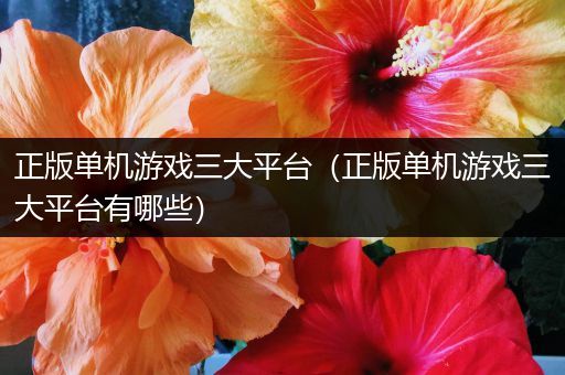 正版单机游戏三大平台（正版单机游戏三大平台有哪些）