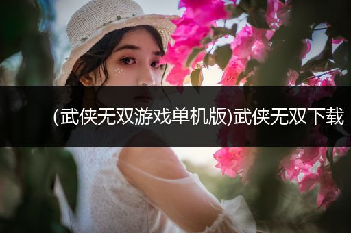 （武侠无双游戏单机版)武侠无双下载