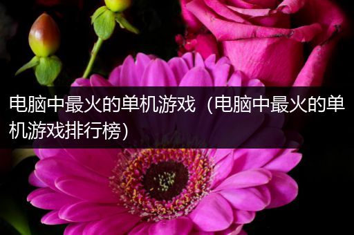 电脑中最火的单机游戏（电脑中最火的单机游戏排行榜）