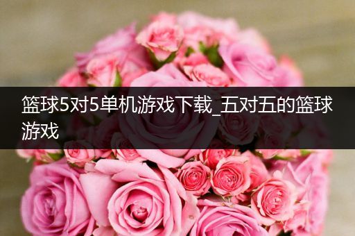 篮球5对5单机游戏下载_五对五的篮球游戏
