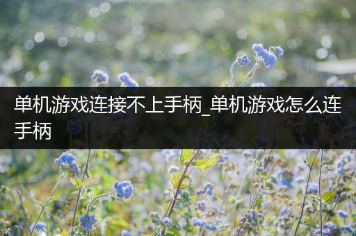 单机游戏连接不上手柄_单机游戏怎么连手柄