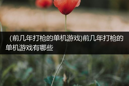 （前几年打枪的单机游戏)前几年打枪的单机游戏有哪些