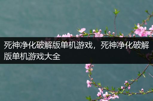死神净化破解版单机游戏，死神净化破解版单机游戏大全