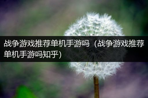 战争游戏推荐单机手游吗（战争游戏推荐单机手游吗知乎）