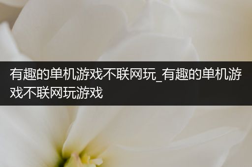 有趣的单机游戏不联网玩_有趣的单机游戏不联网玩游戏