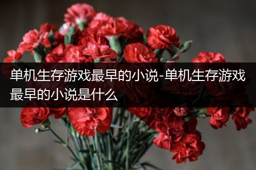 单机生存游戏最早的小说-单机生存游戏最早的小说是什么