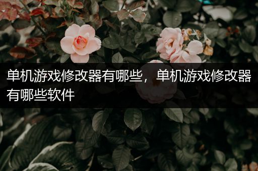 单机游戏修改器有哪些，单机游戏修改器有哪些软件
