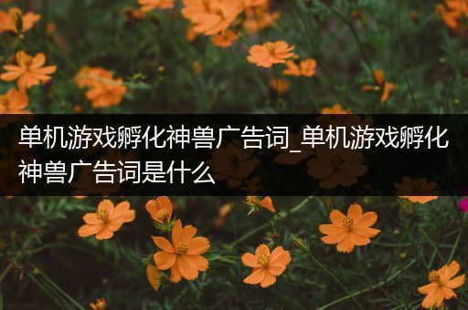 单机游戏孵化神兽广告词_单机游戏孵化神兽广告词是什么