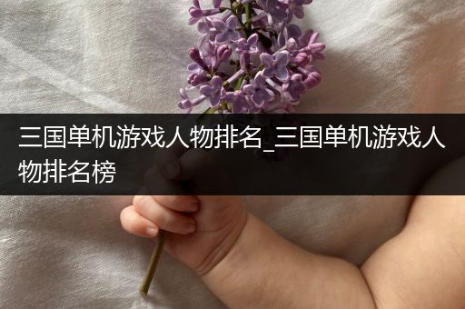 三国单机游戏人物排名_三国单机游戏人物排名榜