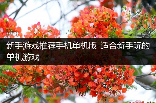 新手游戏推荐手机单机版-适合新手玩的单机游戏