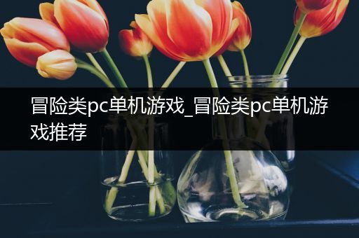 冒险类pc单机游戏_冒险类pc单机游戏推荐