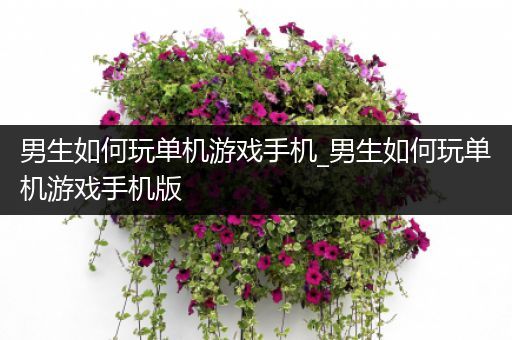 男生如何玩单机游戏手机_男生如何玩单机游戏手机版