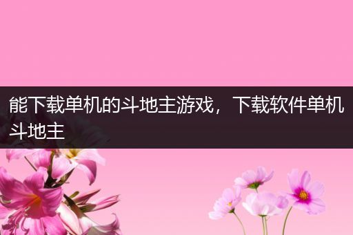 能下载单机的斗地主游戏，下载软件单机斗地主