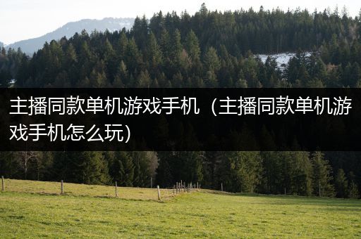 主播同款单机游戏手机（主播同款单机游戏手机怎么玩）