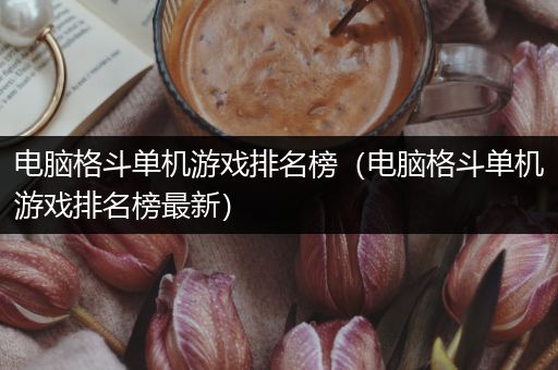 电脑格斗单机游戏排名榜（电脑格斗单机游戏排名榜最新）