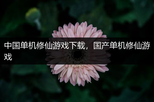 中国单机修仙游戏下载，国产单机修仙游戏