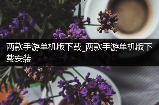 两款手游单机版下载_两款手游单机版下载安装