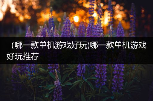 （哪一款单机游戏好玩)哪一款单机游戏好玩推荐