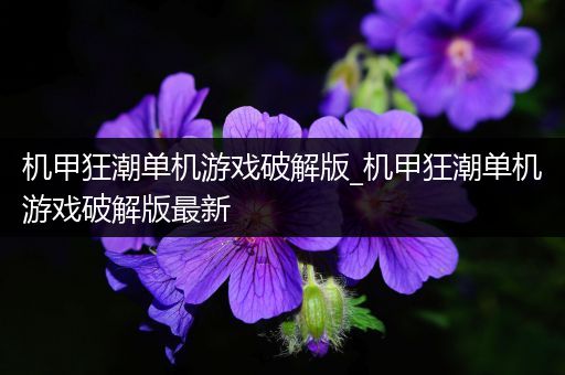 机甲狂潮单机游戏破解版_机甲狂潮单机游戏破解版最新
