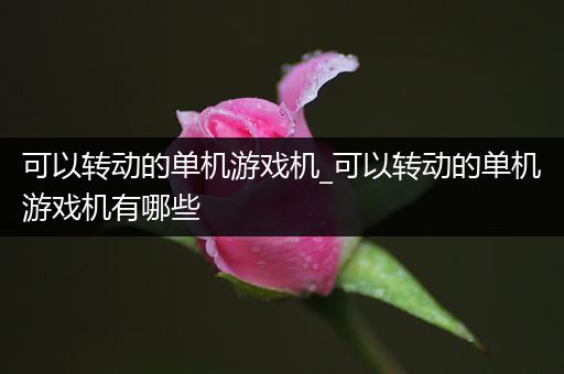 可以转动的单机游戏机_可以转动的单机游戏机有哪些