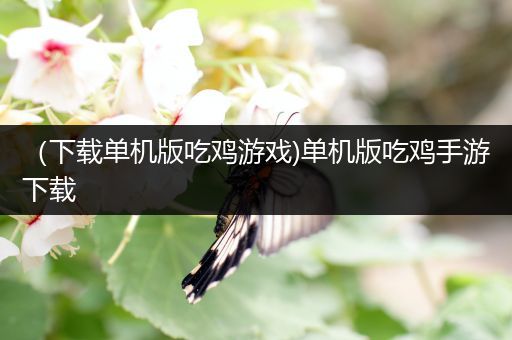 （下载单机版吃鸡游戏)单机版吃鸡手游下载