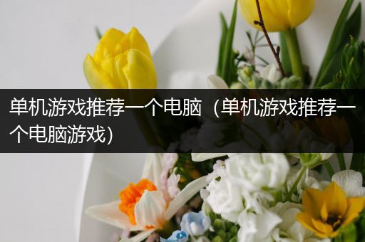 单机游戏推荐一个电脑（单机游戏推荐一个电脑游戏）